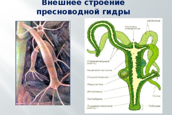 Кракен сыл ссылка