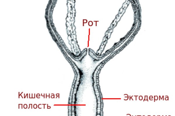 Кракен наркошоп